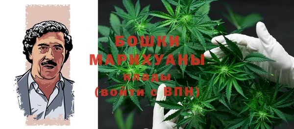 каннабис Кохма