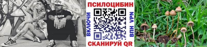Псилоцибиновые грибы ЛСД Михайловка